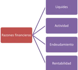 Figura 3 Categoría de Razones Financieras 
