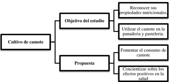 Figura 10. Objetivo de Estudio y Propuesta del Camote.