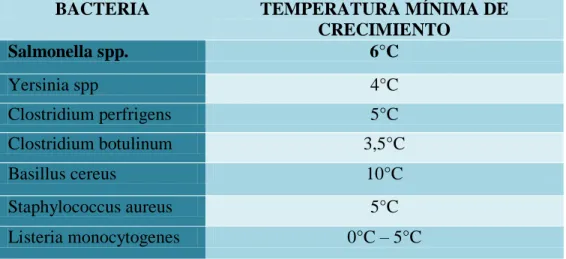 Tabla 6 Bacterias en los alimentos 