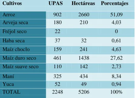 Tabla 7 Cultivos transitorios de Macará 