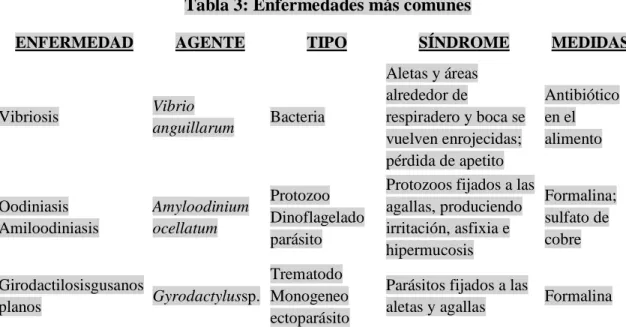 Tabla 3: Enfermedades más comunes 