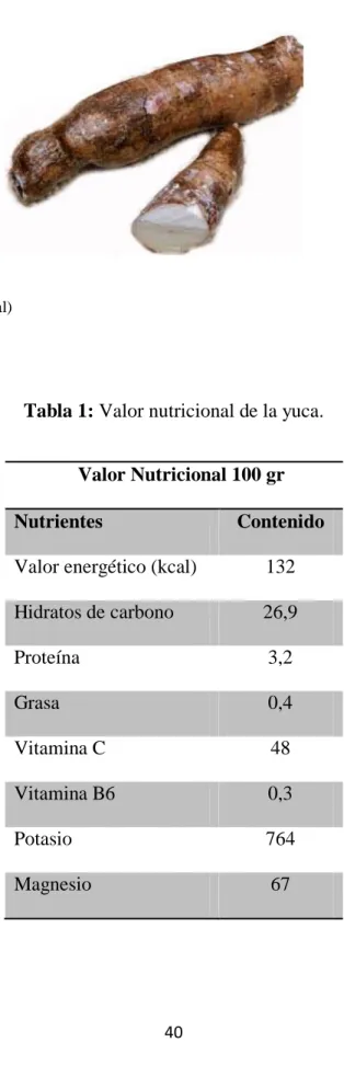 Tabla 1: Valor nutricional de la yuca. 