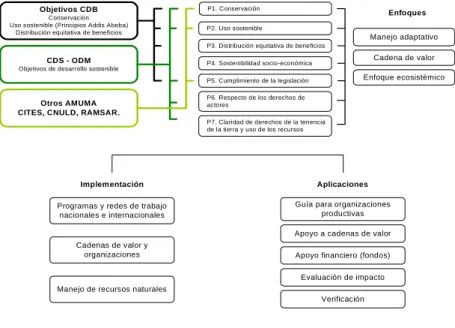 Figura 1. Contexto, niveles de implementación y aplicaciones de los Principios de Biocomercio 