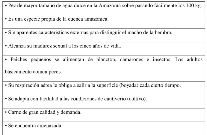 Tabla 02 Características relevantes del Paiche 