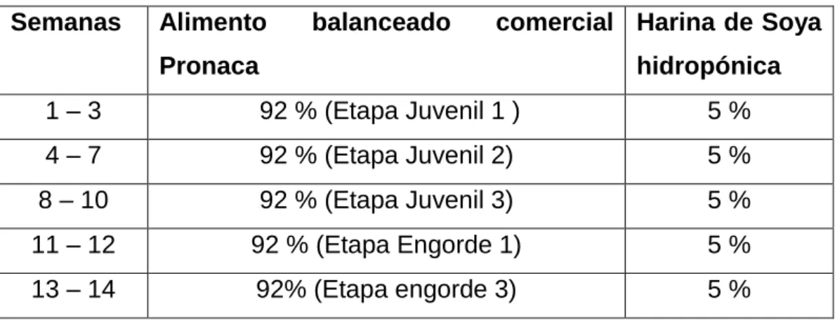 Tabla 3. Alimentación + complementación de harina de soya hidropónica  por semanas  