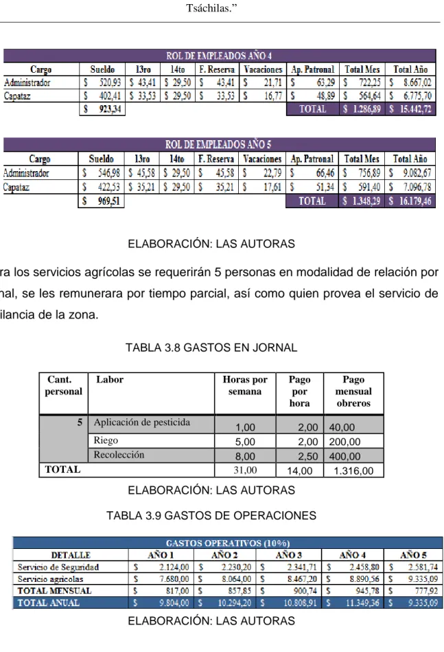 TABLA 3.8 GASTOS EN JORNAL