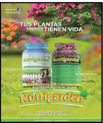 Figura 8.  Banner Publicitario 