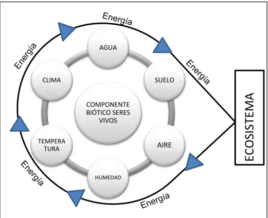 Figura 1.1 Diagrama de un ecosistema