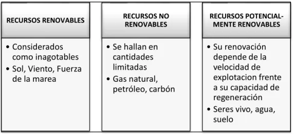 Tabla 1.3 Clasificación de los recursos de un ecosistema