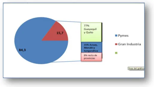 GRÁFICO N o  5 