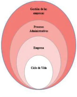Gráfico 6. Categorías fundamentales 
