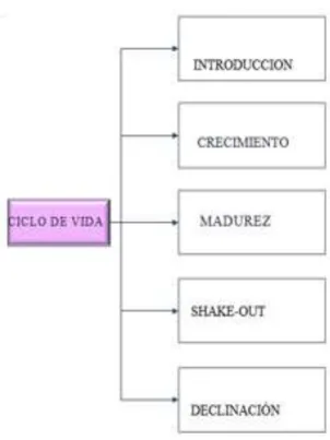 Gráfico 7. Red de categorías 