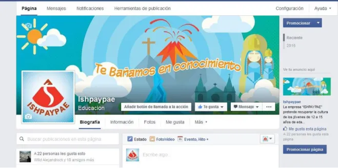 Gráfico 9:  REDES SOCIALES 