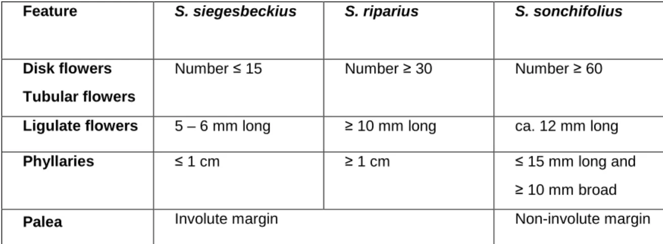 Table 1: Diagnostic features of Peruvian Smallanthus species within the “yacon group” (67) 