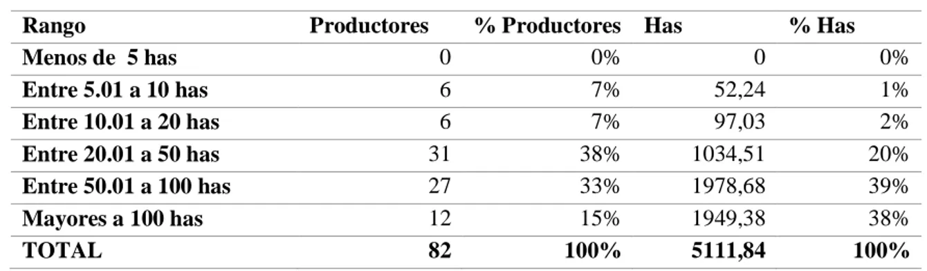 Tabla 4. Estructura productiva del sector del mango en el Ecuador 