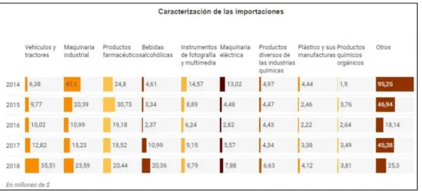 Figura 9. Caracterización de las importaciones 