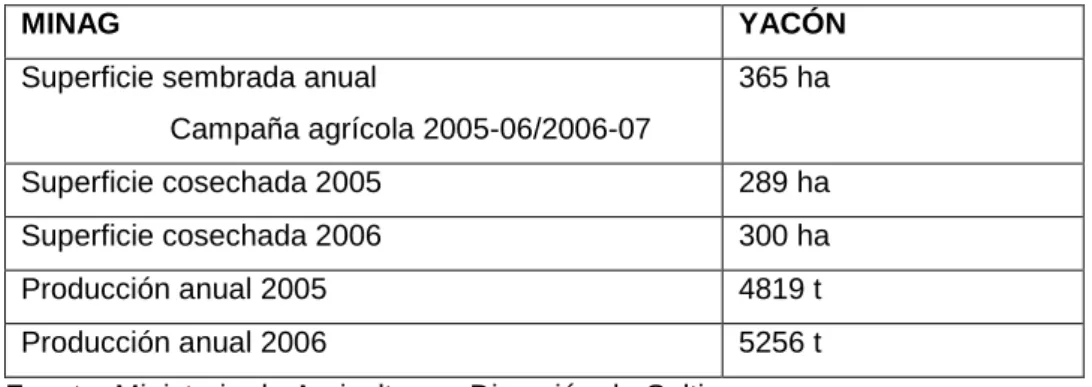 CUADRO Nº 1: CULTIVOS DE  YACÓN 2005-2006 