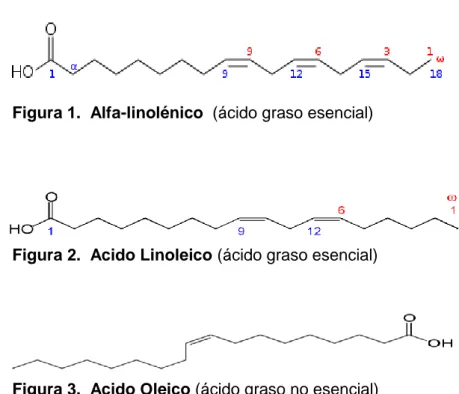 Figura 1.  Alfa-linolénico  (ácido graso esencial) 