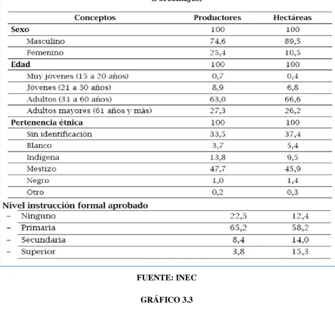 GRÁFICO 3.2 