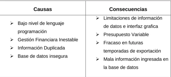 CUADRO Nº 2                                                                                                           Causas y consecuencias 