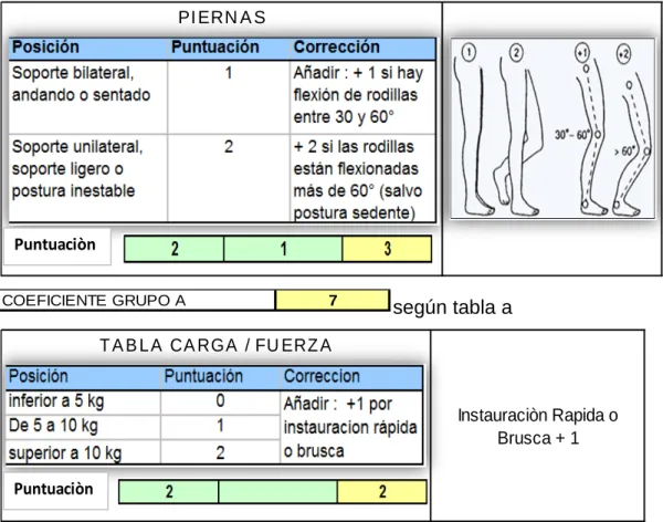 TABLA CARGA / FUERZA