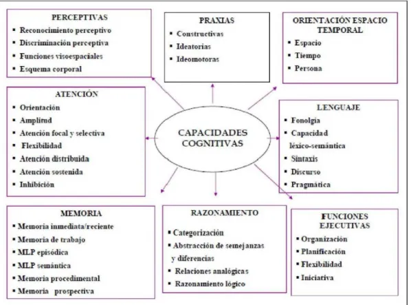 Gráfico N° 6: Capacidades cognitivas y componentes 