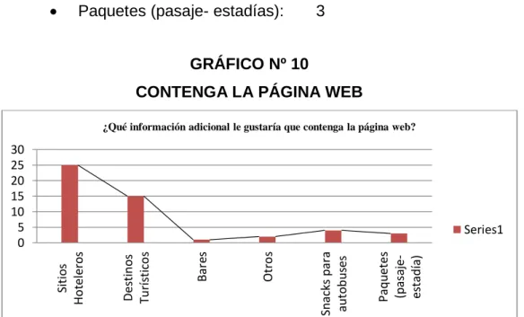GRÁFICO Nº 10 