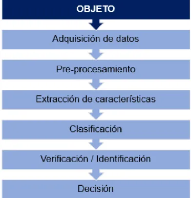 Gráfico N° 4 