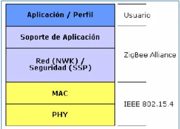 GRÁFICO  11 