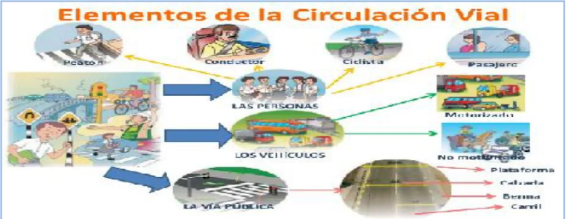 Figura 10. Elementos de la Circulación Vial 