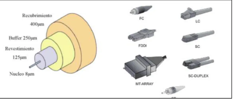 Figura 19 Fibra multimodal