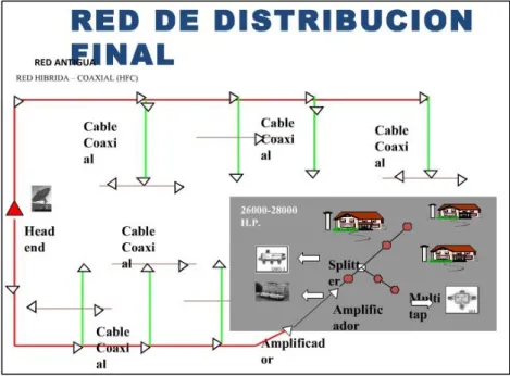 Figura 28 Red de Distribución