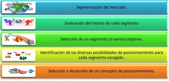 Gráfico 8: Segmentación y Posicionamiento 