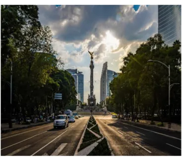 Figura 5Ciudad de México