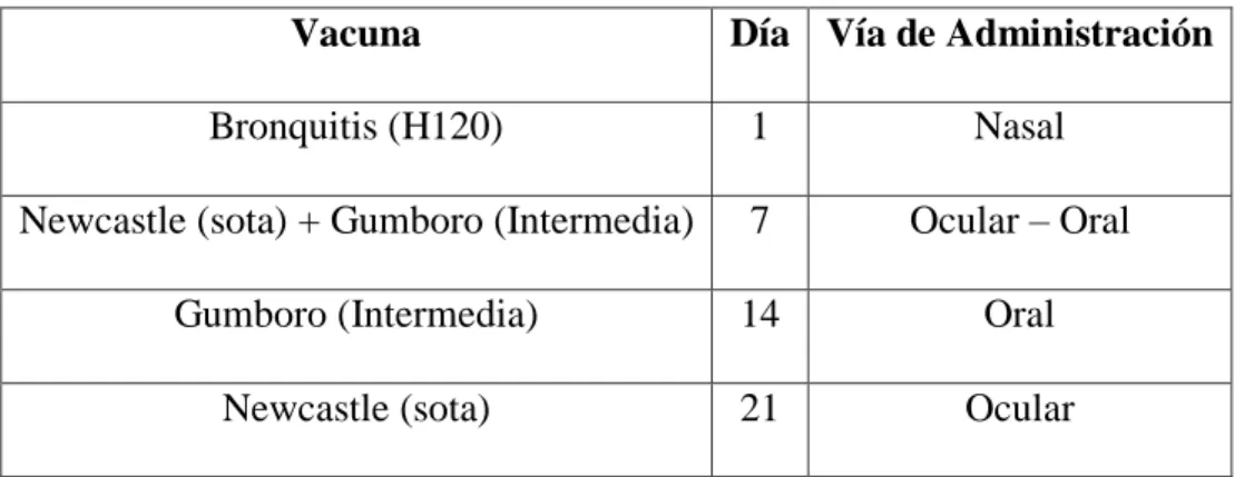 TABLA 5. CALENDARIO DE VACUNACIÓN 