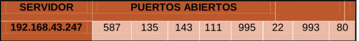 Tabla 9   Puertos encontrados