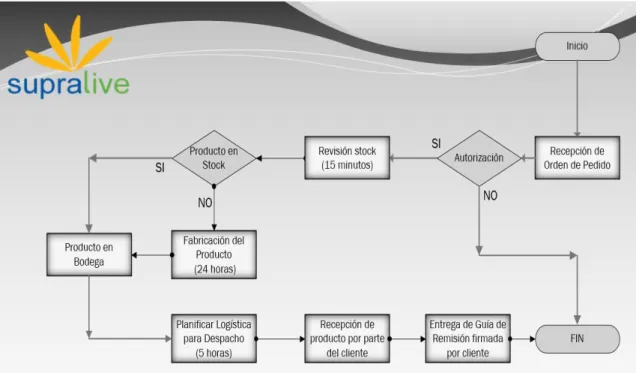 Gráfico N°.17: Diagrama de Flujo de Procesos de Entrega 