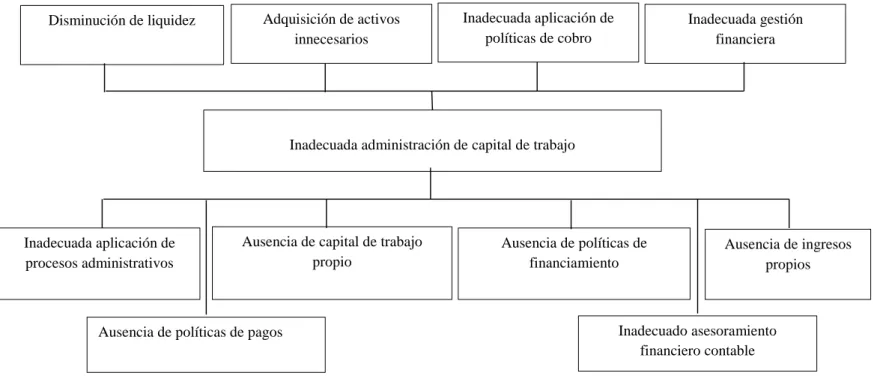 Figura 1 Árbol de problemas 