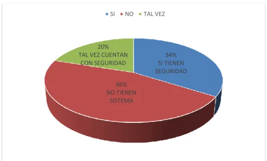 Gráfico Nº 6 Seguridad de los Sistemas 