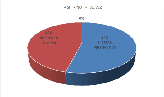 Gráfico Nº 7 Respaldo de los datos 