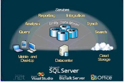 GRÁFICO N° 5  MICROSOFT SQL SERVER 