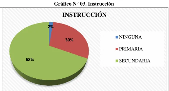 Gráfico N° 03. Instrucción 