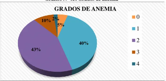 Gráfico N° 05. Grados de anemia 