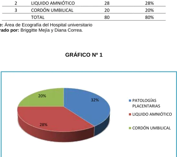 GRÁFICO Nº 1 