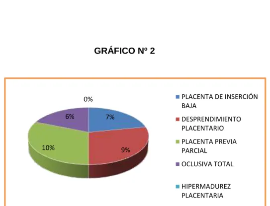 GRÁFICO Nº 2 