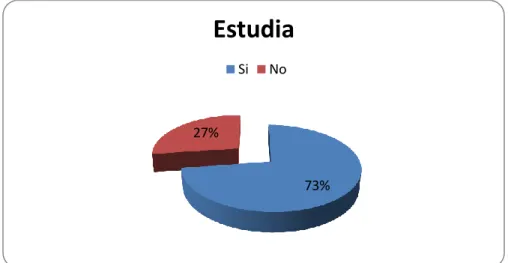 Tabla Nro. 3. Actualmente estudia usted 