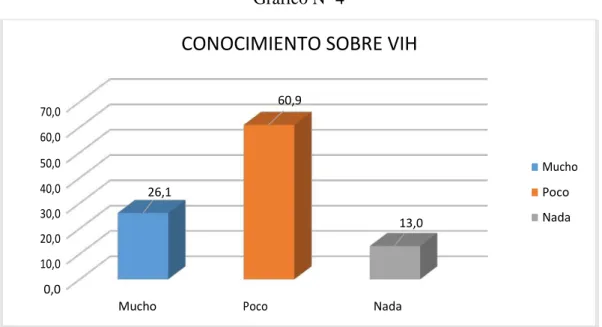 Gráfico Nº 4 