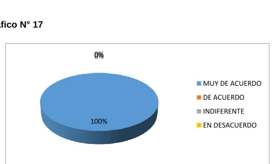 Gráfico N° 17 