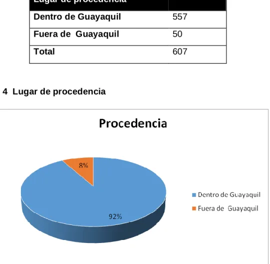 Gráfico 4  Lugar de procedencia 