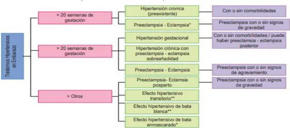 Figura 2 Clasificación de los trastornos hipertensivos 